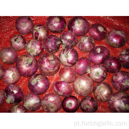 Tamanhos 3.0-5.0cm Fresh Red Onion